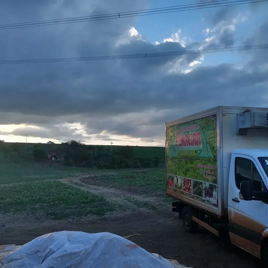 Horta agro legumes Ferreira