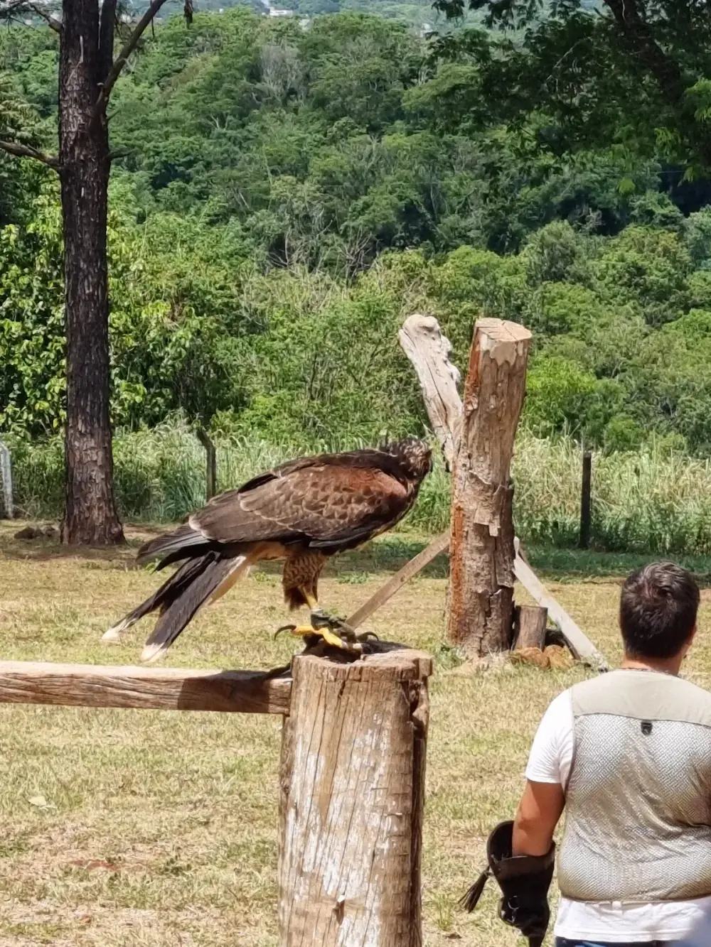 Eco Park Foz — foto 6