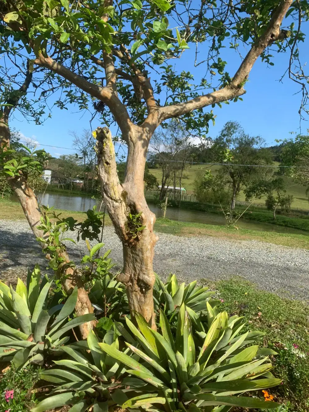 Camping Sítio Pomerode — foto 6