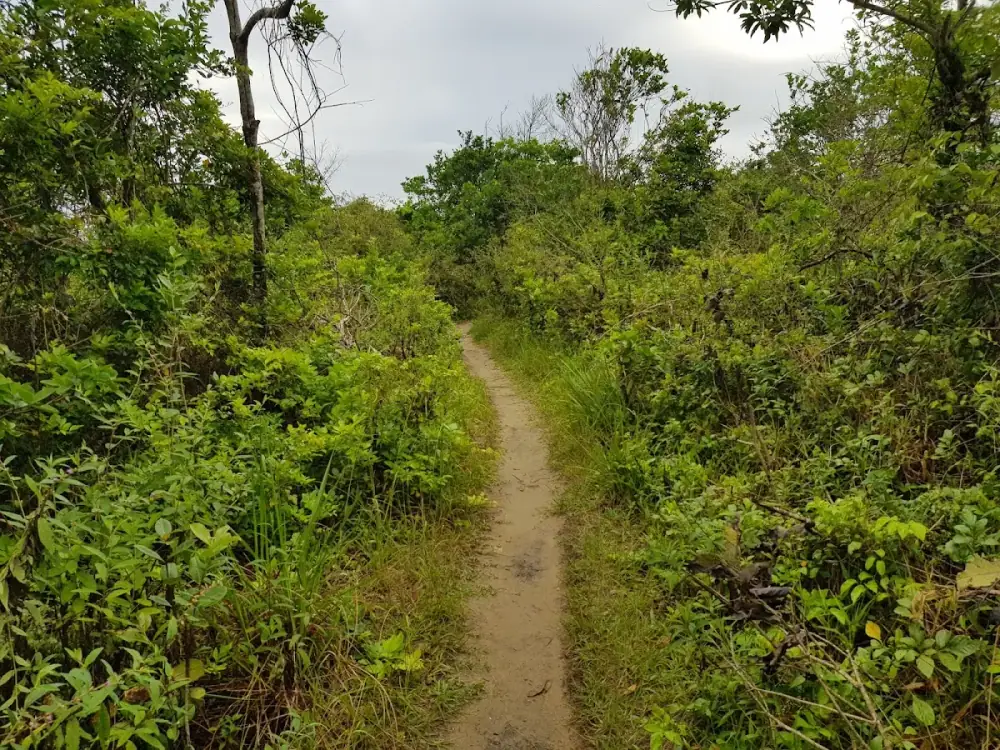 Refugio do Balça — foto 6