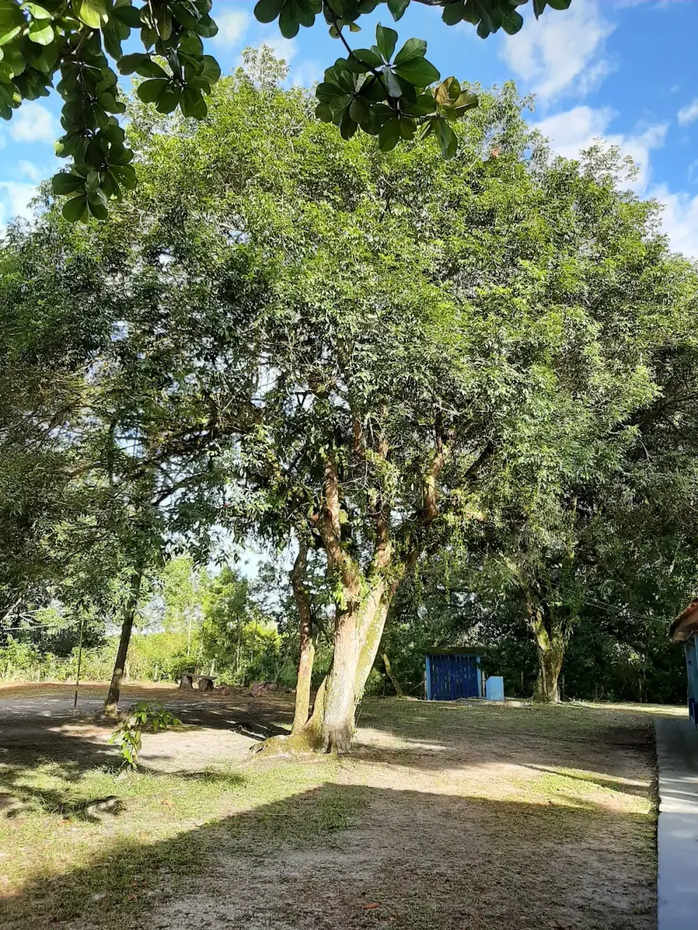 AVM-Ilha do Mel — foto 6
