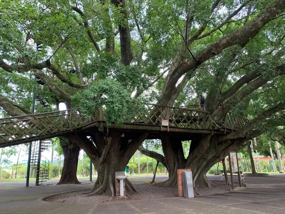 Parque Maeda — foto 6