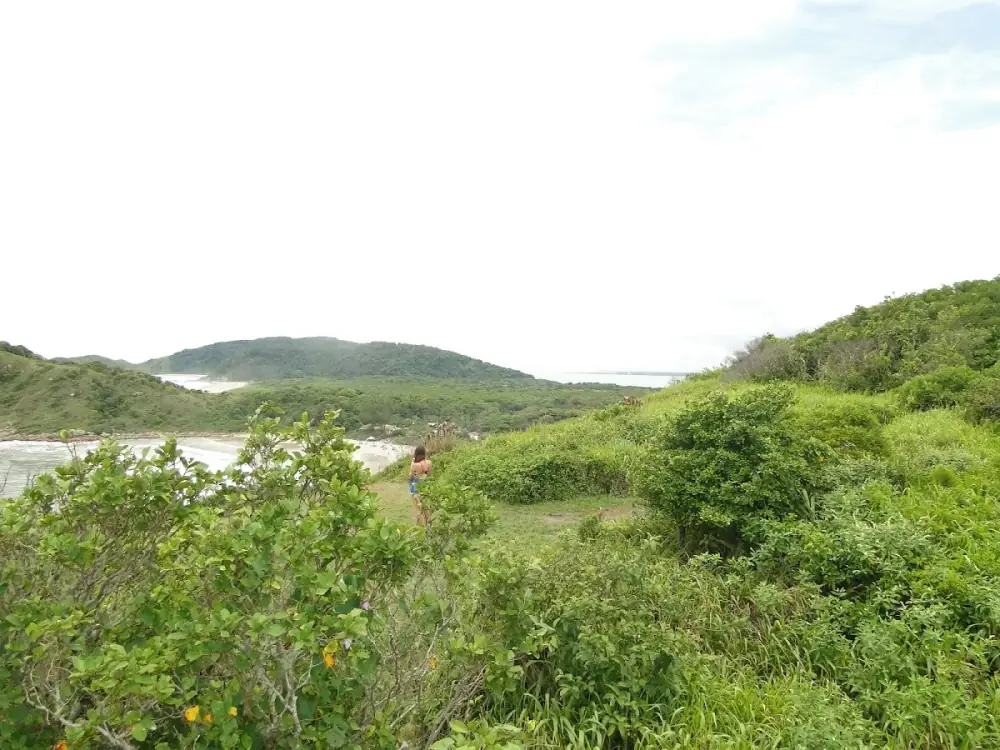 Ilha do Mel - Nova Brasília — foto 6