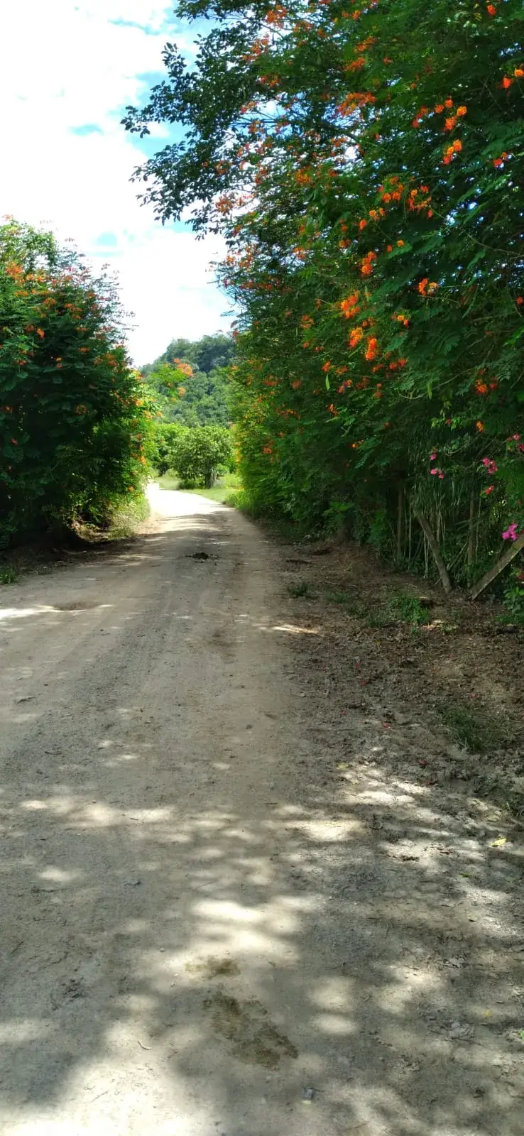 Recanto Vida — foto 6
