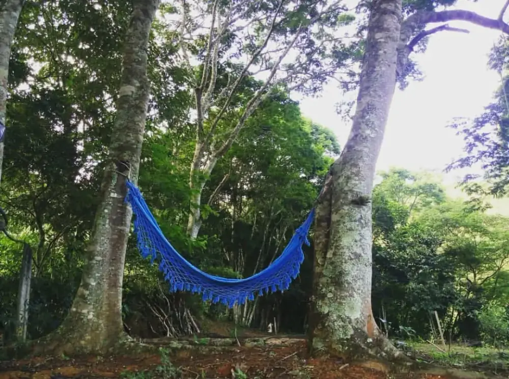 Na Morada da Mata Camping — foto 6