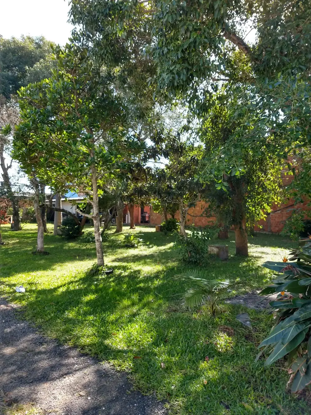 Pousada e Camping Paradise — foto 6
