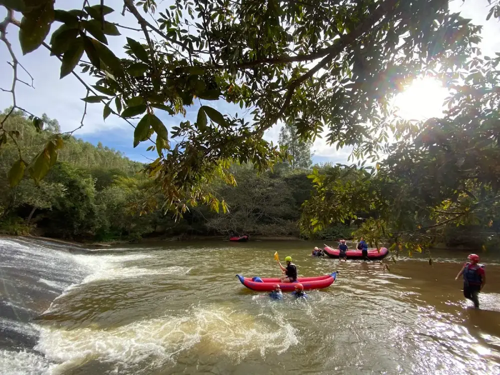 Galeria 1
