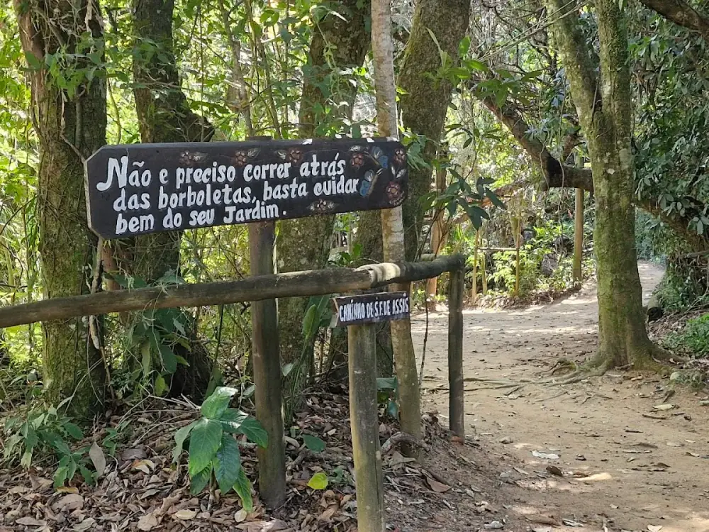Galeria 3