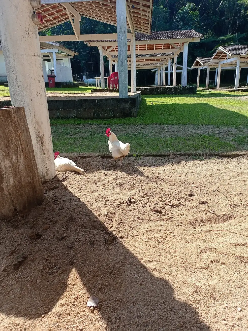Camping Pousada em Ubatuba - Rancho Pica Pau