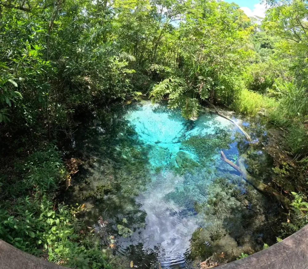 Bonito Eco Tour | Passeios em Bonito MS - Agência de Viagens — foto 6