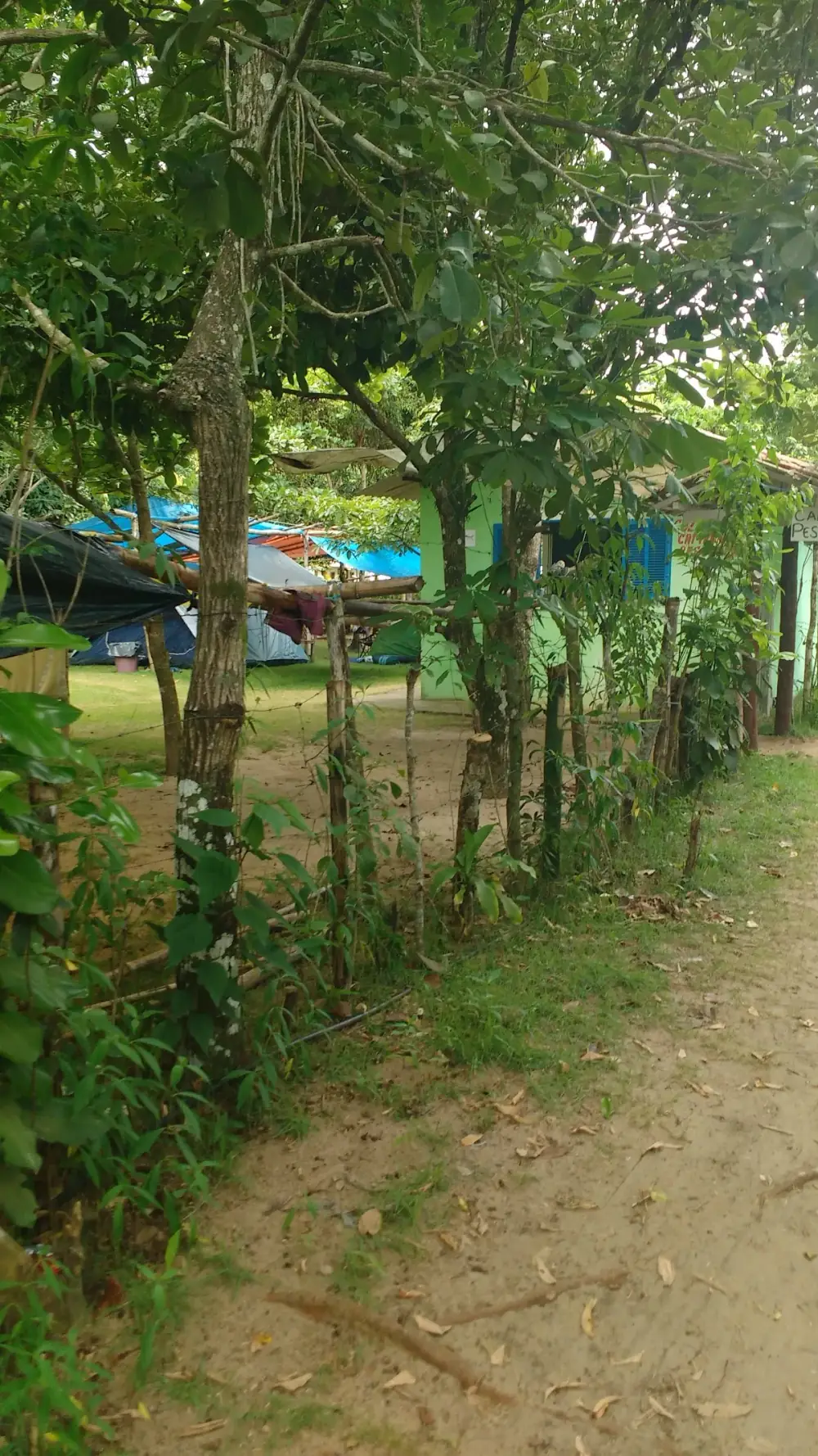 Camping Pescador — foto 6