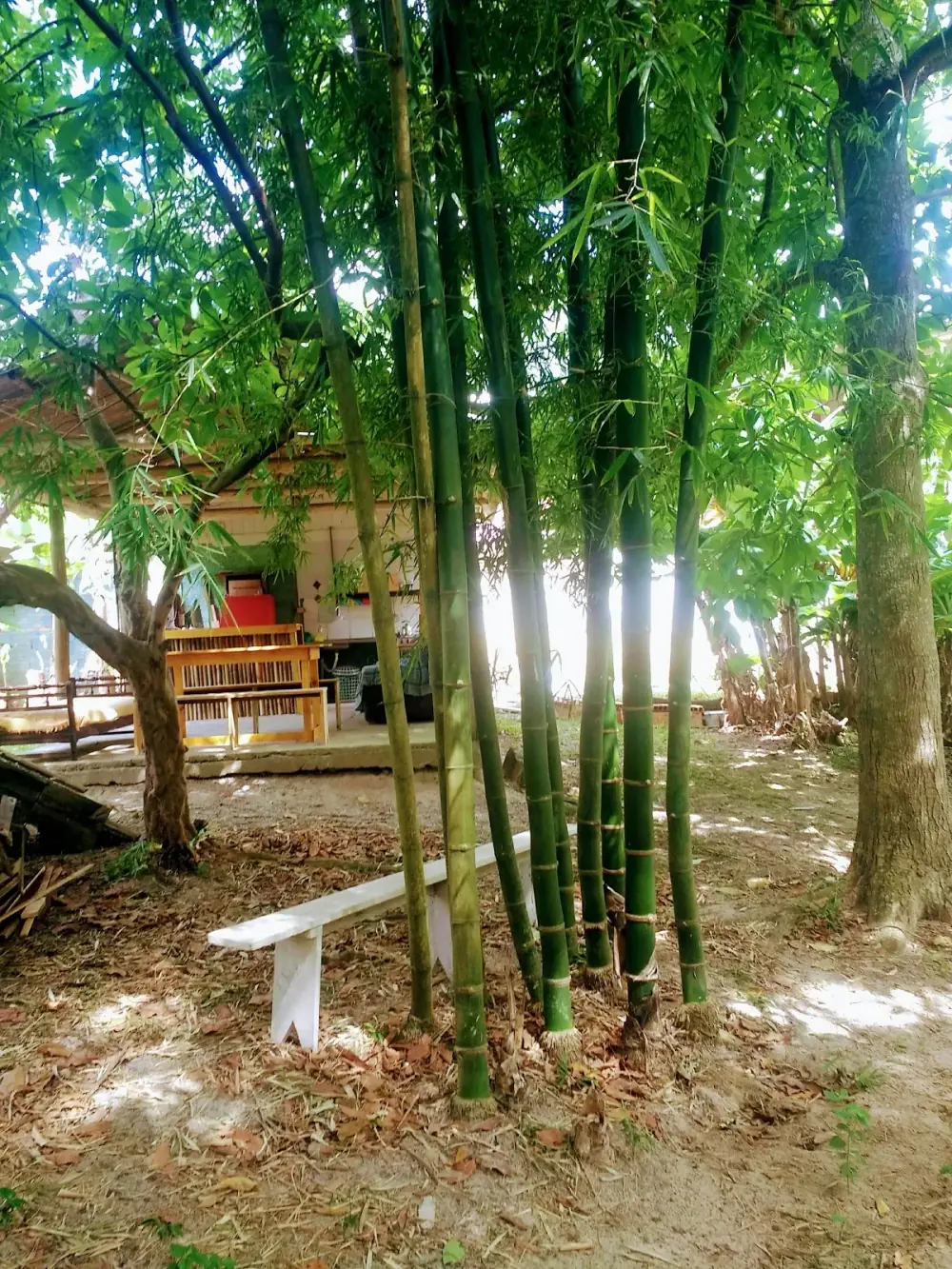 Camping Costa de Dentro — foto 6