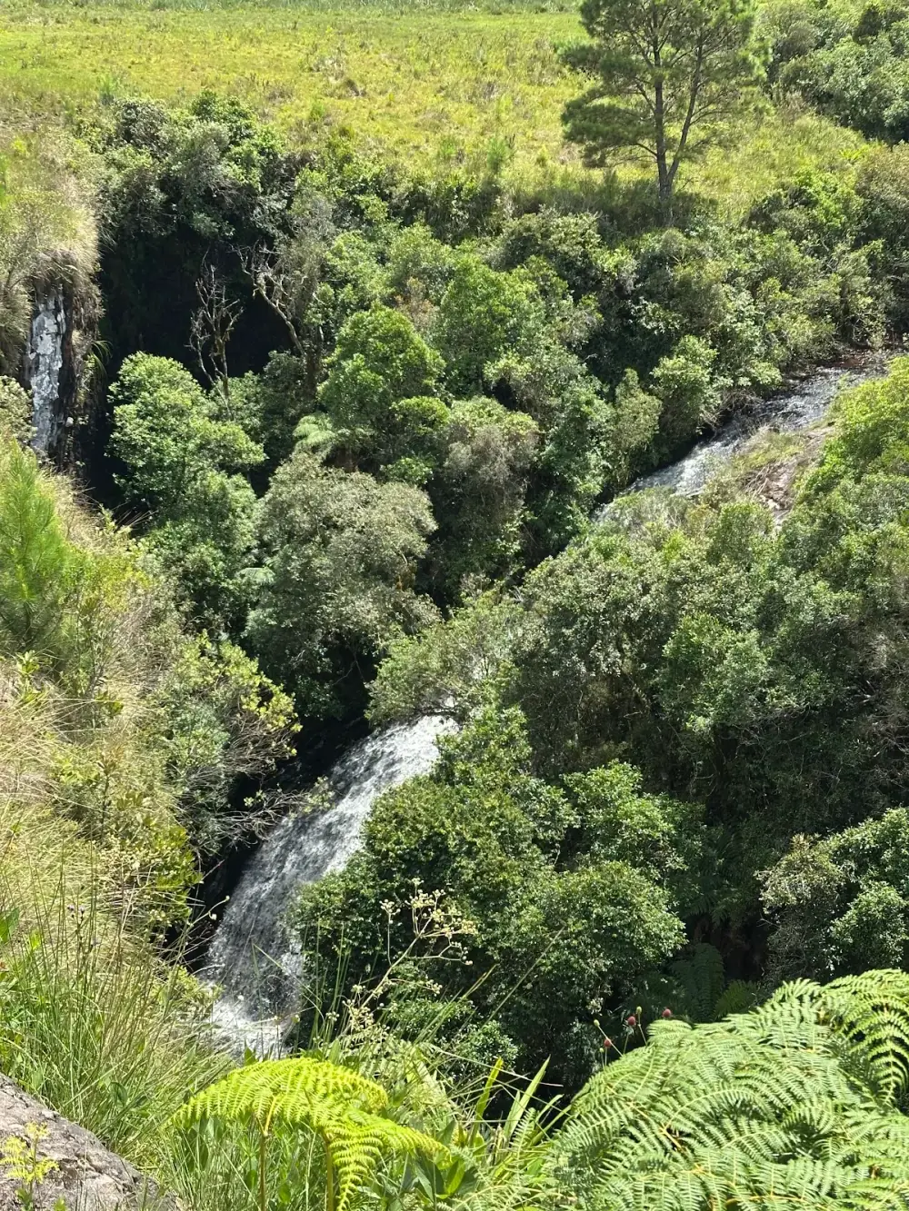 Parque Natural Municipal da Ronda — foto 6