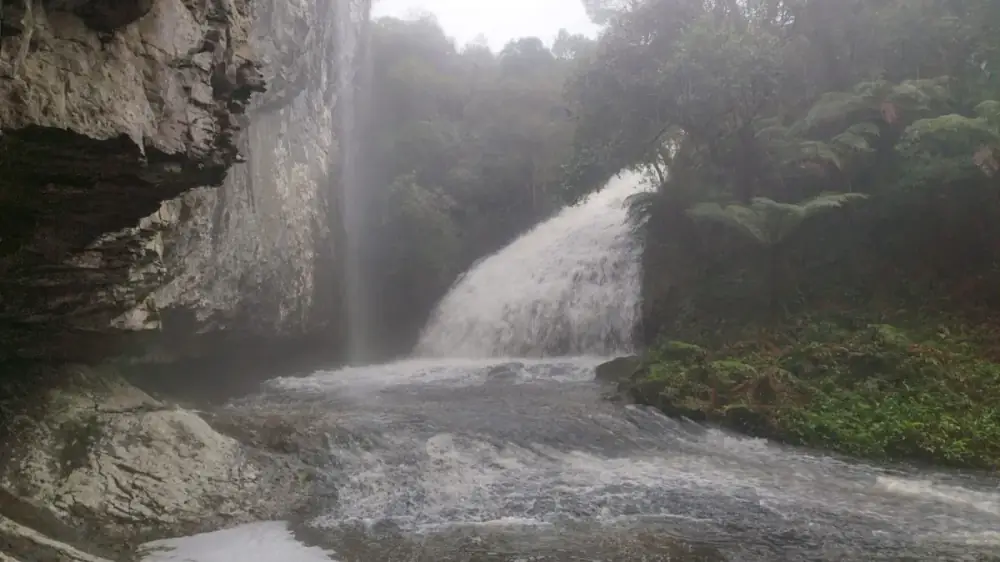 Parque Natural Municipal da Ronda