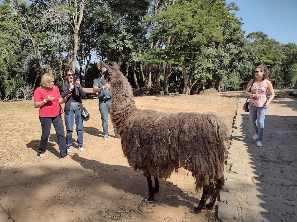 Aldeia Parque Pousada — foto 6