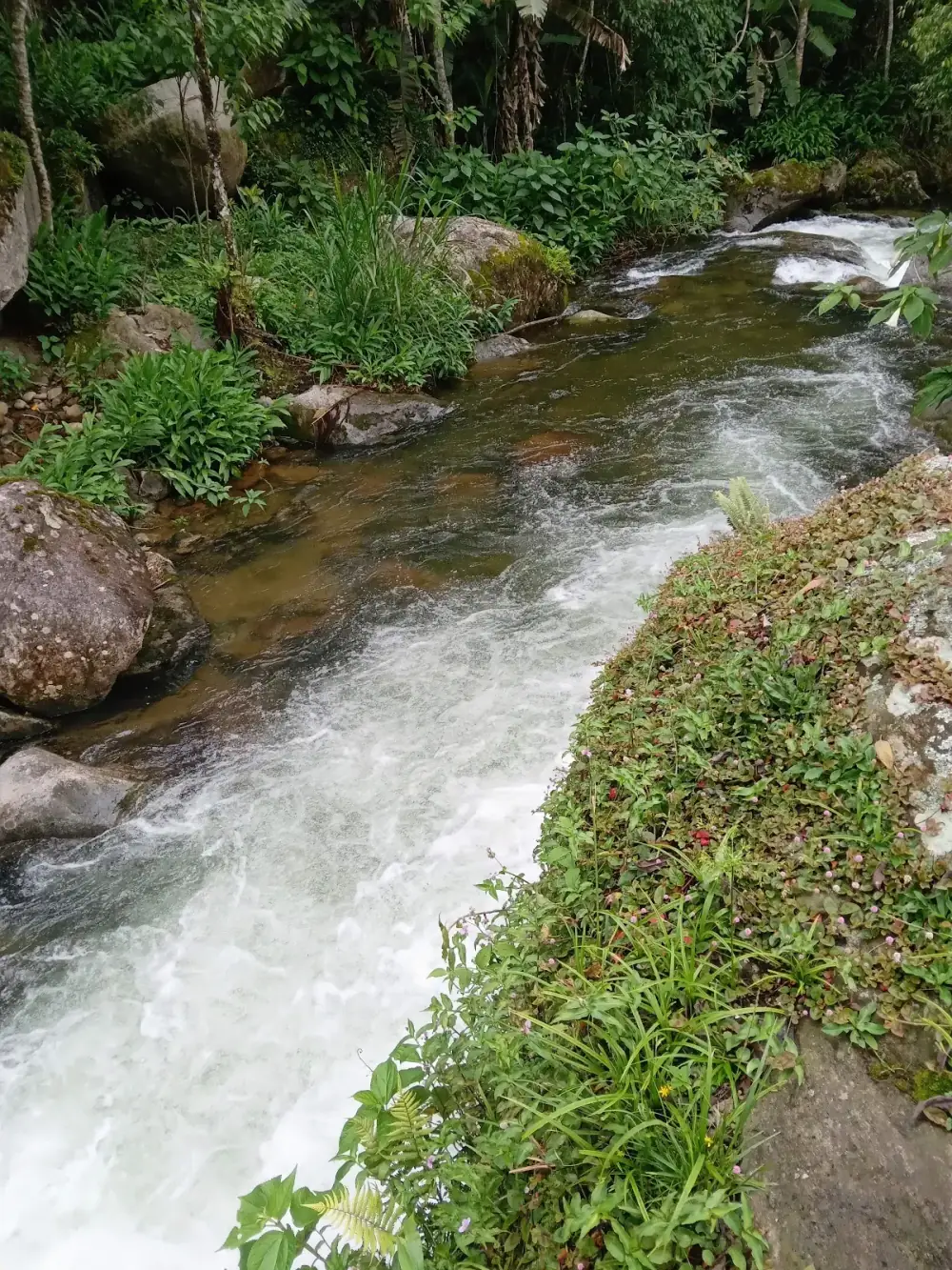 Camping Refúgio do Riacho - bairro maromba Visconde de Mauá — foto 6