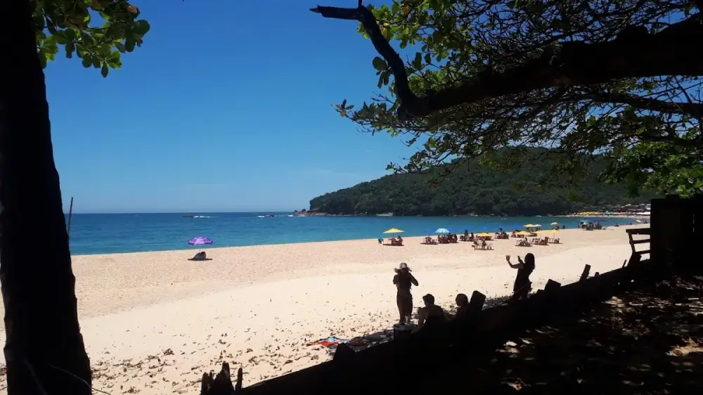 Camping Américo Rosa — foto 6