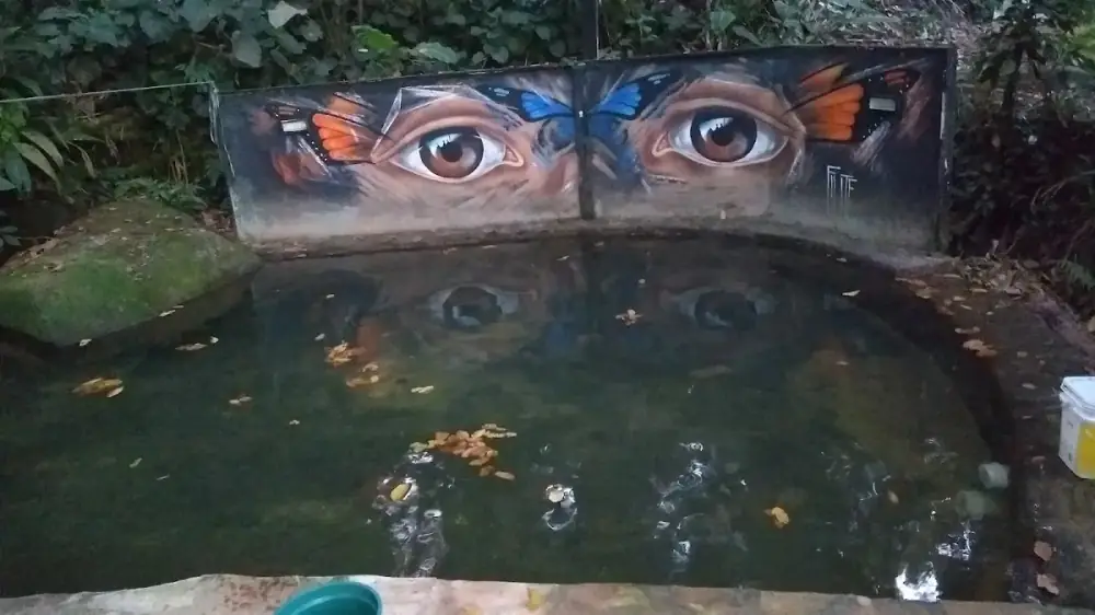 Camping e Pousada Mata Atlântica — foto 6