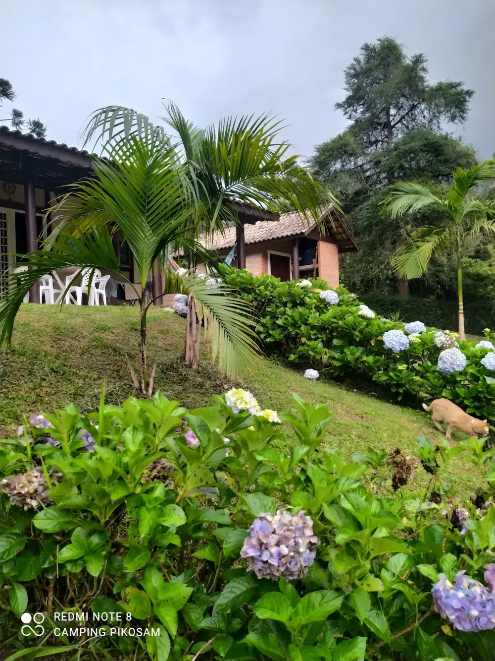 CAMPING DO PIKOSAM — foto 6