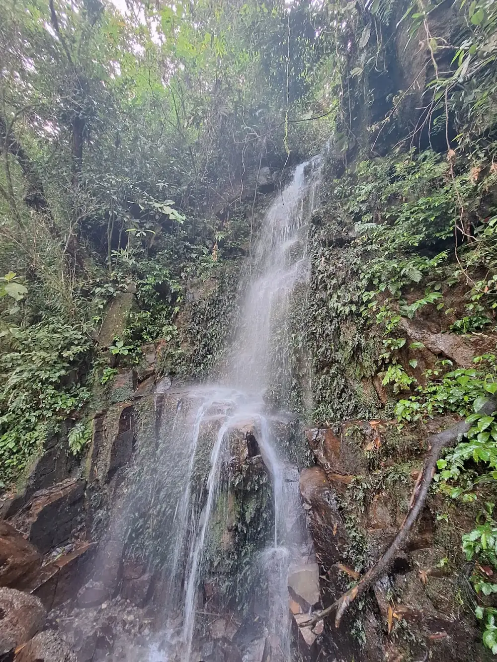Parque Estadual Ilhabela — foto 6