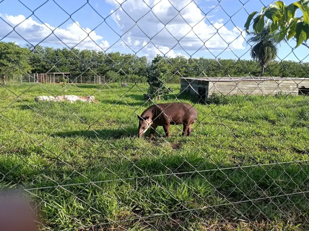 Bio Park — foto 6