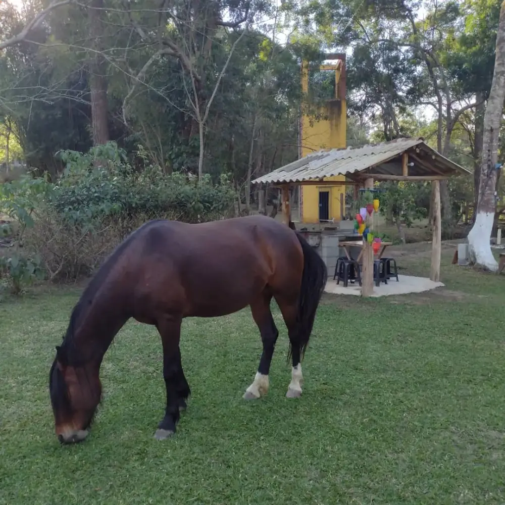 Bela Vista Eco Pousada e Recreação — foto 6
