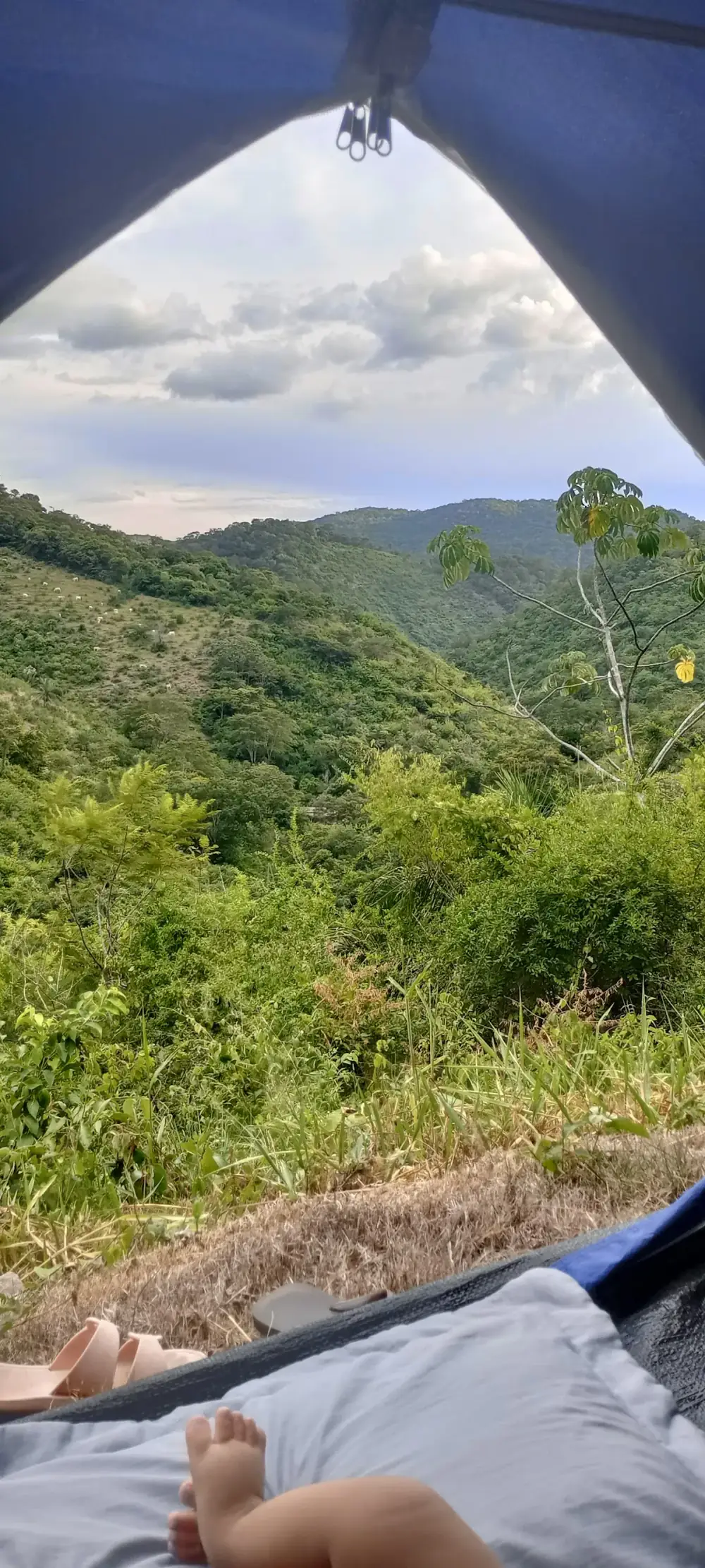 Camping Dona Rosa — foto 6