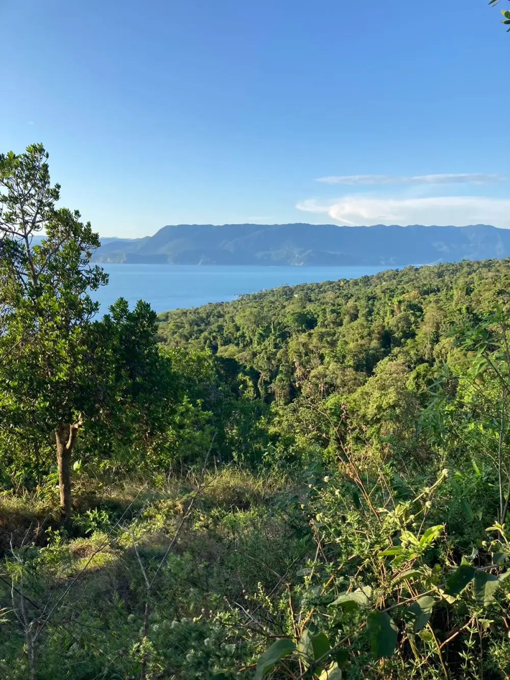 Mirante camping Flamboyant