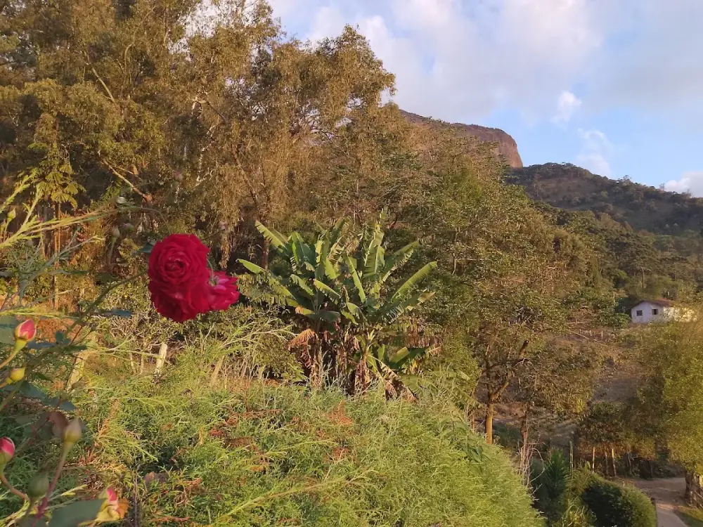 CAMPING LENHEIRO BRASA DE FOGO — foto 6