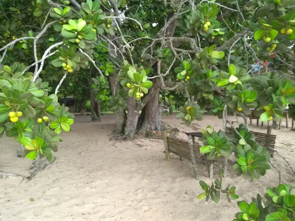 Camping Marimbar — foto 6