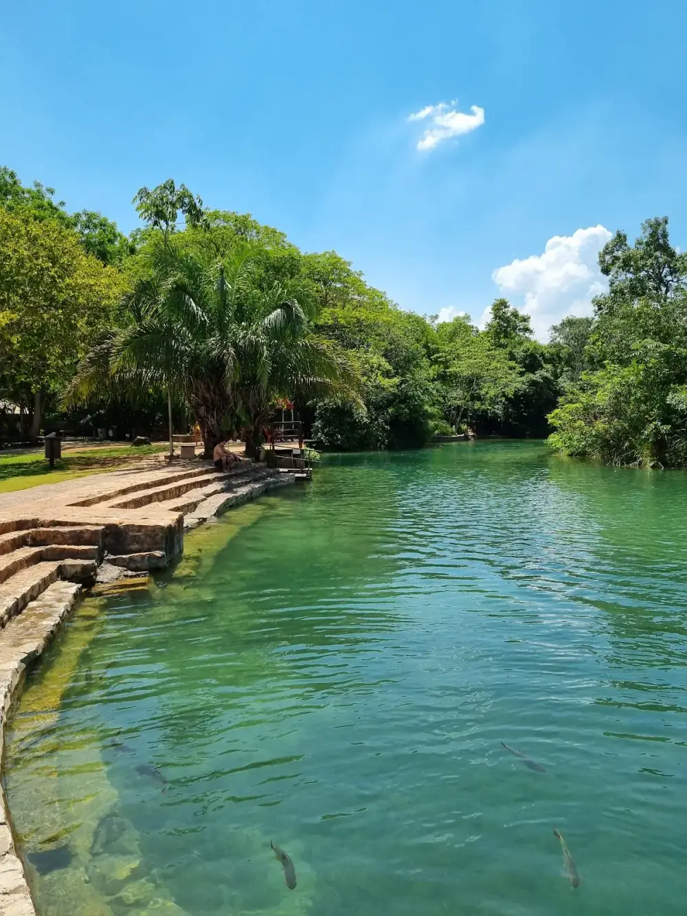 Balneario Municipal, Bonito