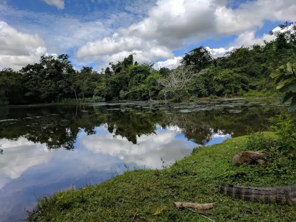 Estância Mimosa Ecoturismo — foto 6