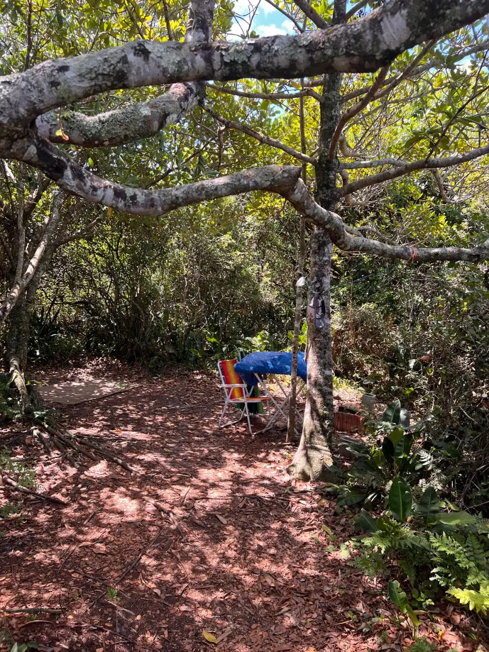 Camping Recanto Remor Florianópolis — foto 6
