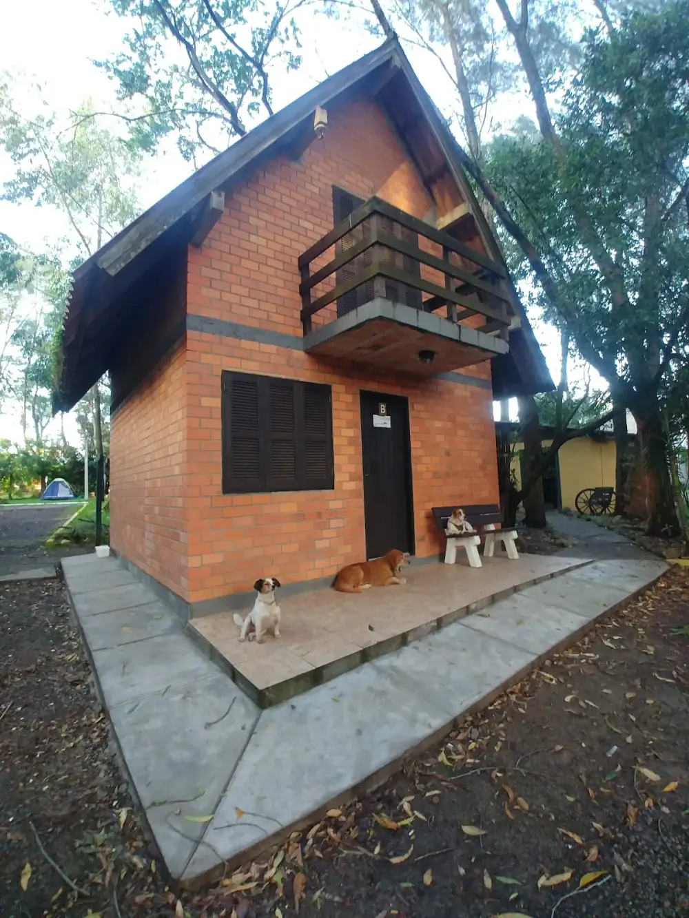 Galeria 3