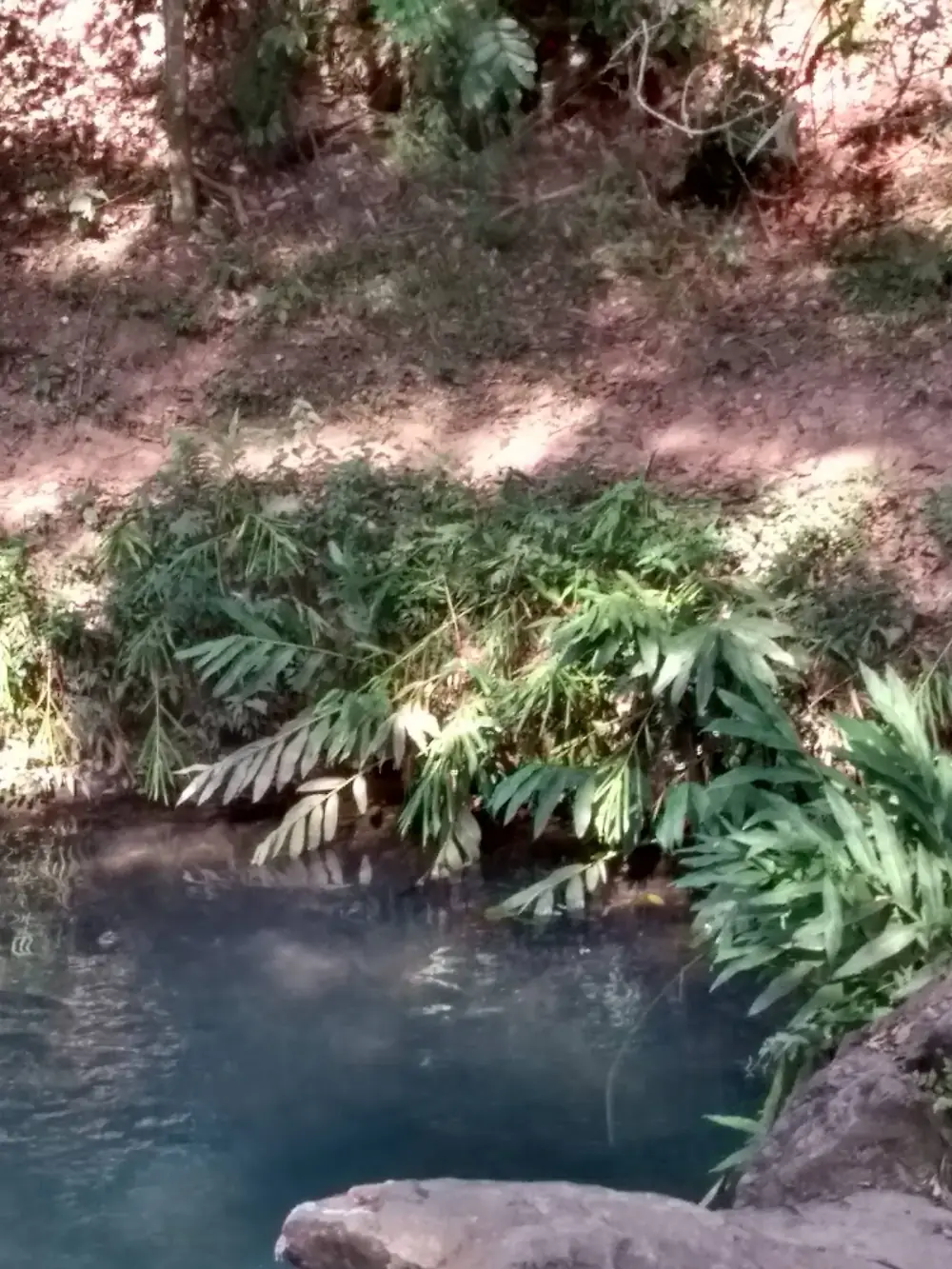 Cachoeira do Candor — foto 6