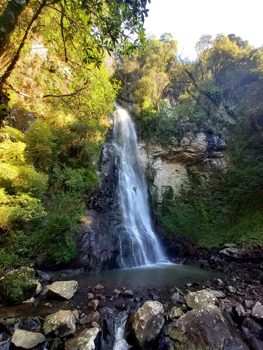 Trilha das 8 Cachoeiras — foto 6