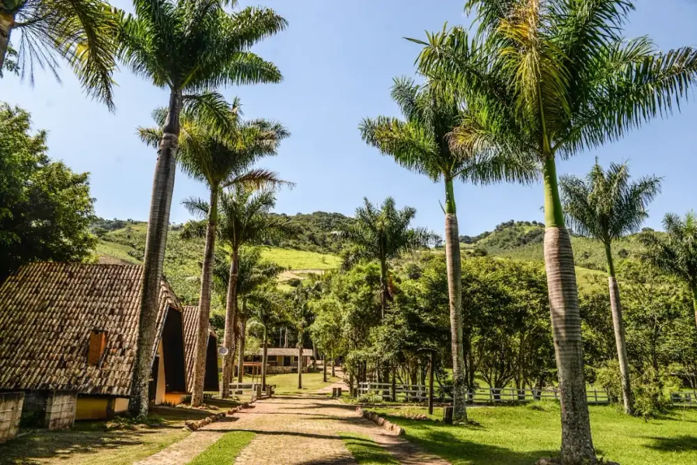 Villa das Palmeiras Chalés & Camping — foto 6