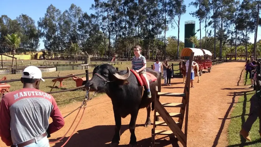Barretos Country Park & Resort — foto 6