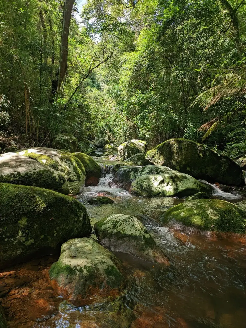 Fazenda Pico Paraná — foto 6