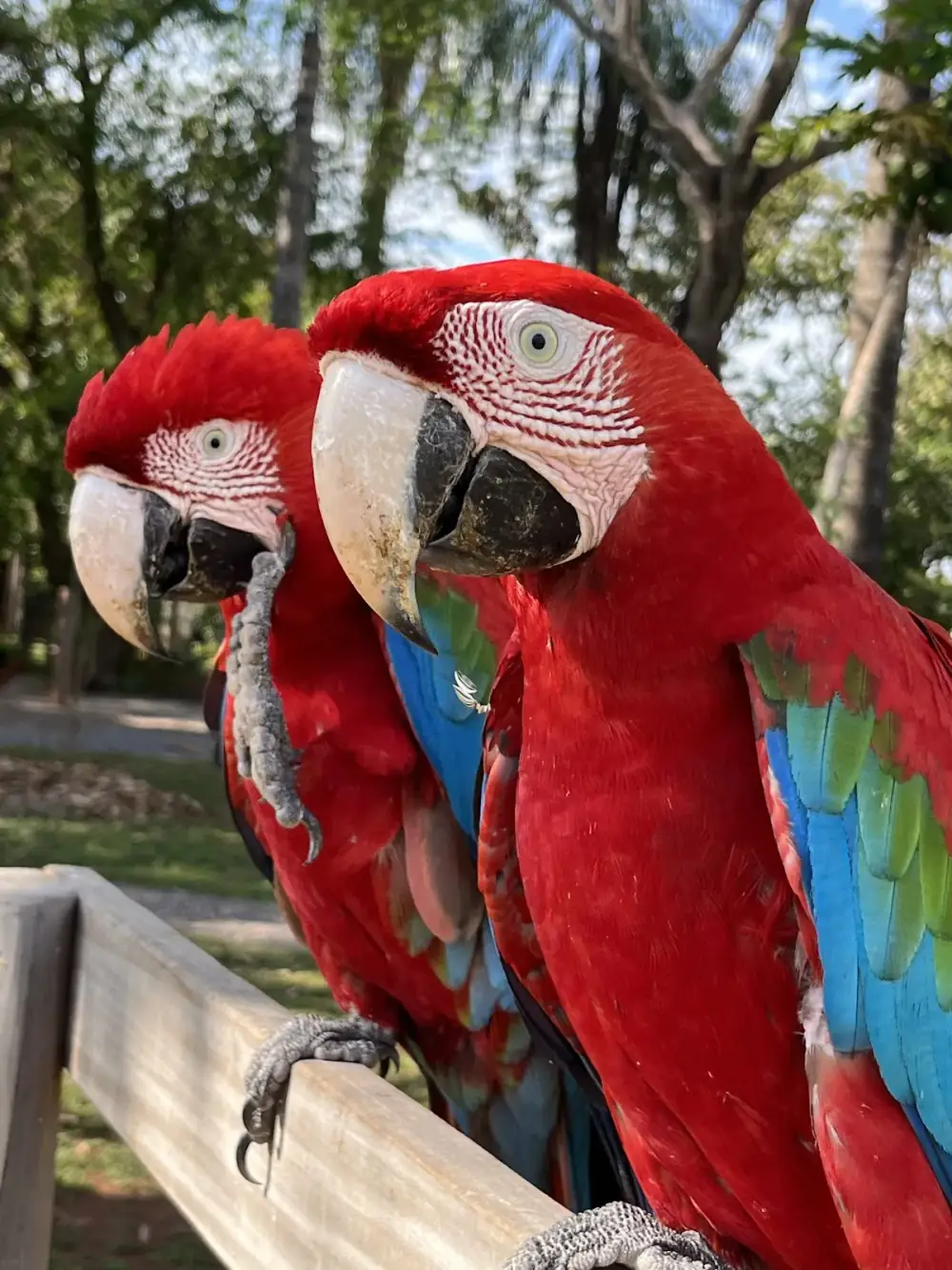 Recanto Ecológico Rio da Prata — foto 6