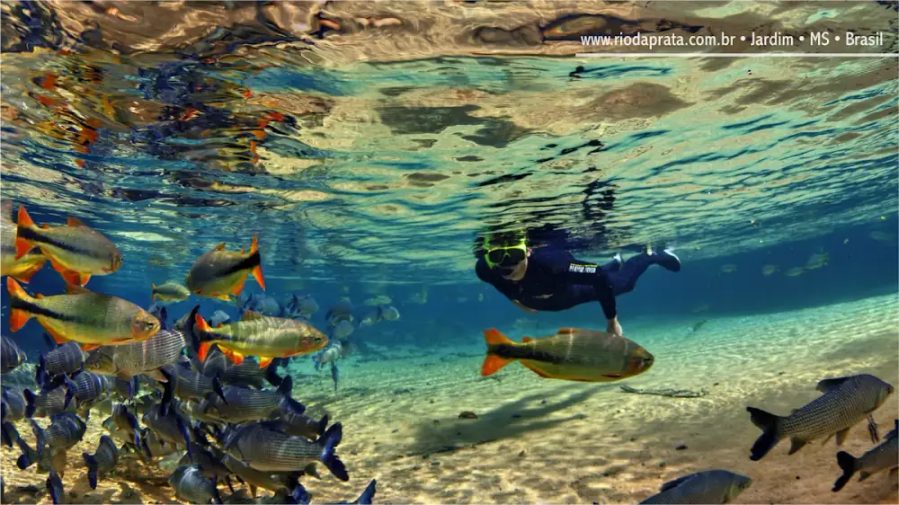 Recanto Ecológico Rio da Prata