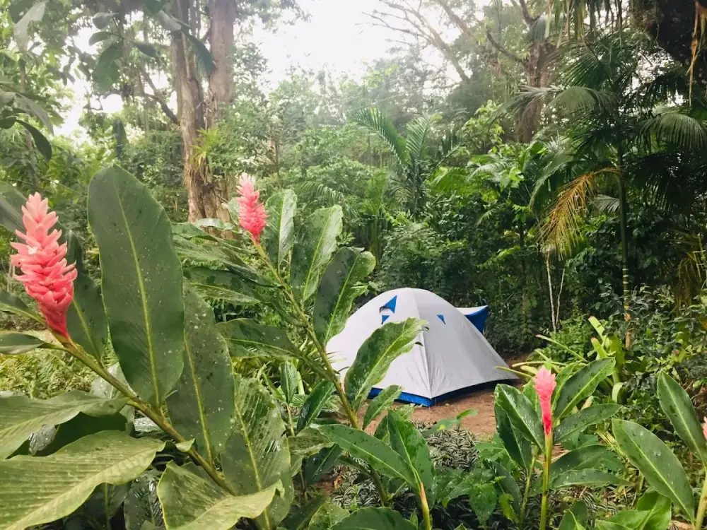 Camping da Terra — foto 6
