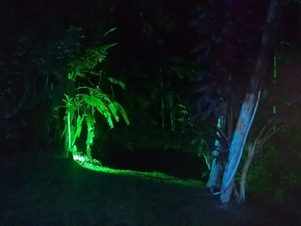 Camping e Pousada Cachoeira do Perequê - Peruíbe — foto 6