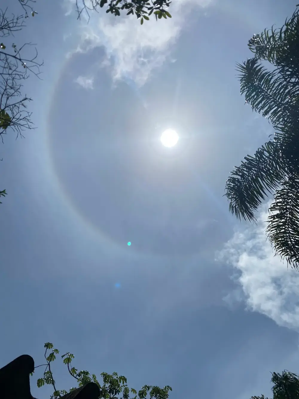 Rancho do Lamarka e Juréia Golden — foto 6